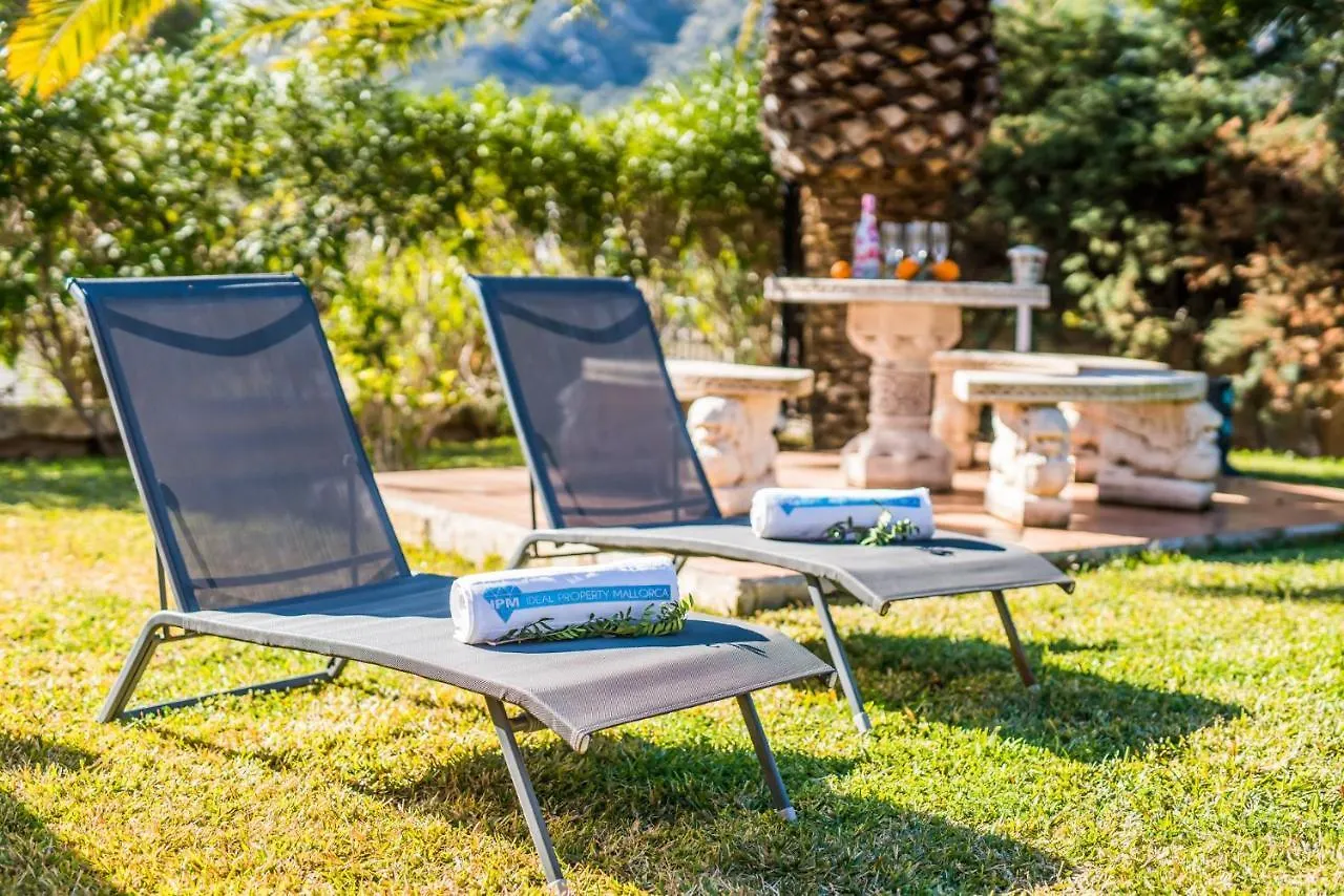 Ideal Property Mallorca - Aran Berna Alcudia  Alcudia (Mallorca)